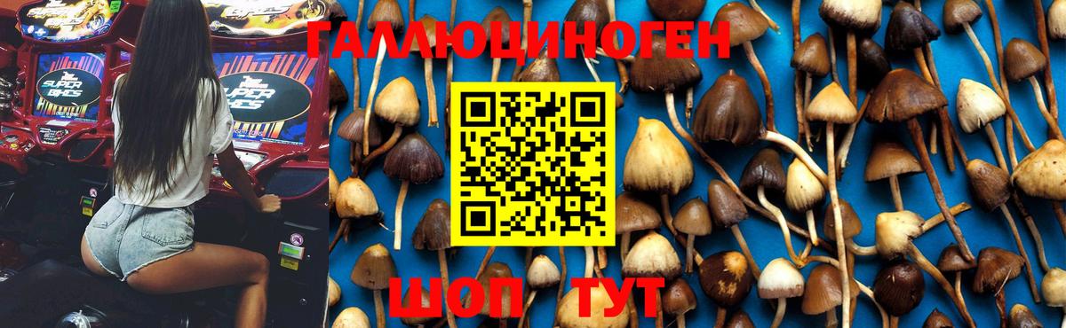 Азов  Псилоцибиновые грибы мухоморы  купить  сайты  Вход с VPN  Псилоцибиновые грибы ЛСД 